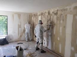 Best Attic Mold Removal  in Munday, TX